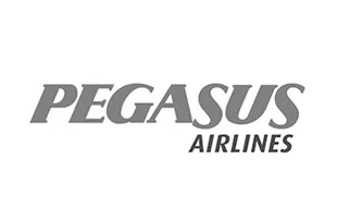 Pegasus